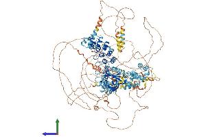 AlphaFold protein structure predicition of Mouse Recombinant Anks1b Protein, UniprotID Q8BIZ1