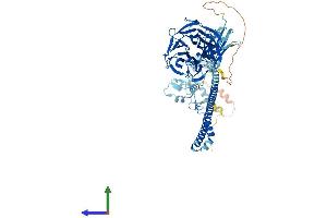 AlphaFold protein structure predicition of Human Recombinant TRIM2 Protein, UniprotID Q9C040