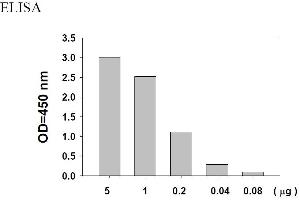 Image no. 4 for Epidermal Growth Factor Receptor (EGFR) ELISA Kit (ABIN625224) (EGFR Kit ELISA)