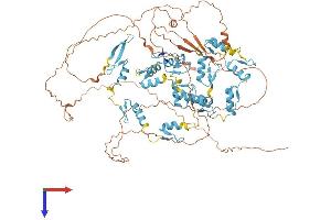AlphaFold protein structure predicition of Human Recombinant ZFY Protein, UniprotID P08048
