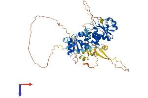 AlphaFold protein structure predicition of Mouse Recombinant Dusp10 Protein, UniprotID Q9ESS0