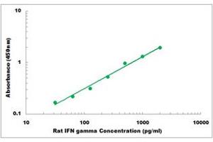 Representative Standard Curve (Interferon gamma Kit ELISA)