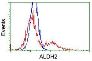 Image no. 1 for anti-Aldehyde Dehydrogenase 2 Family (Mitochondrial) (ALDH2) antibody (ABIN1496589) (ALDH2 anticorps)