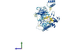 AlphaFold protein structure predicition of Mouse Recombinant Rbck1 Protein, UniprotID Q9WUB0