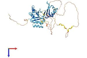 AlphaFold protein structure predicition of Mouse Recombinant Hnrnpk Protein, UniprotID P61979