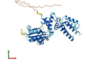 AlphaFold protein structure predicition of Mouse Recombinant Rfc4 Protein, UniprotID Q99J62