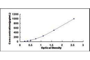 Persephin (PSPN) ELISA Kit