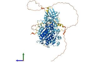 AlphaFold protein structure predicition of Mouse Recombinant Rad54b Protein, UniprotID Q6PFE3
