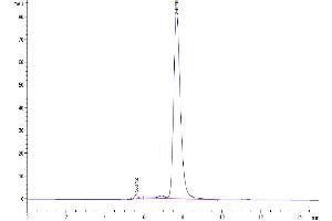 The purity of Mouse IL-9 is greater than 95 % as determined by SEC-HPLC.