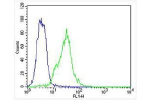Overlay histogram showing K562 cells stained with  (green line).