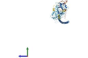 AlphaFold protein structure predicition of Human Recombinant BRAP Protein, UniprotID Q7Z569