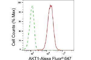 Flow cytometric analysis of AKT1 expression in C2C12 cells using AKT1 antibody (ABIN7800782), 1:2,000).