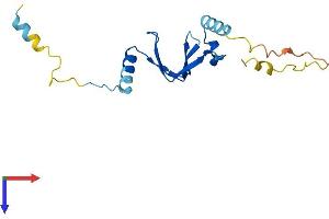 AlphaFold protein structure predicition of Mouse Recombinant Btf3l4 Protein, UniprotID Q9CQH7