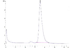 The purity of Human CD155 is greater than 95 % as determined by SEC-HPLC.