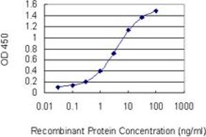 Detection limit for recombinant GST tagged PKNOX2 is 0.