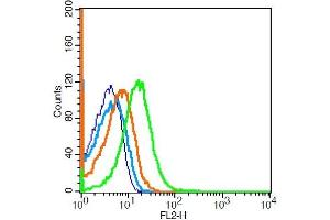 Mouse thymus probed with CD16 Polyclonal Antibody, Unconjugated  at 1:100 for 30 minutes followed by incubation with a conjugated secondary (green) for 30 minutes compared to control cells (blue), secondary only (light blue) and isotype control (orange).