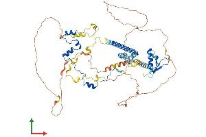 AlphaFold protein structure predicition of Mouse Recombinant Rad21 Protein, UniprotID Q61550