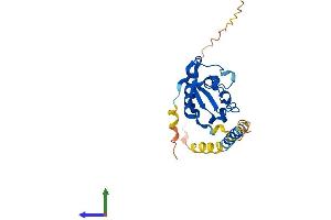 AlphaFold protein structure predicition of Human Recombinant PGRMC2 Protein, UniprotID O15173