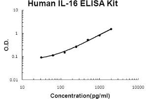 Human IL-16 Accusignal ELISA Kit Human IL-16 AccuSignal ELISA Kit standard curve. (IL16 Kit ELISA)