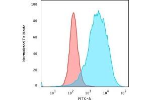 Flow Cytometric Analysis of PFA-fixed K562 cells using CD43 Rabbit Recombinant Monoclonal Antibody (SPN/2049R) followed by Goat anti-rabbit IgG-CF488 (Blue); Isotype Control (Red) (Recombinant CD43 anticorps)