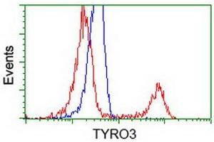 Image no. 2 for anti-TYRO3 Protein Tyrosine Kinase (TYRO3) antibody (ABIN1501603) (TYRO3 anticorps)