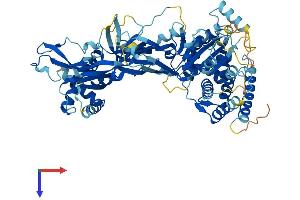 AlphaFold protein structure predicition of Human Recombinant MCMDC2 Protein, UniprotID Q4G0Z9