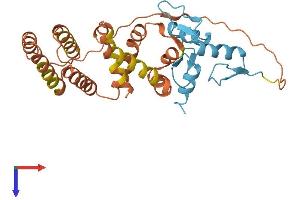 AlphaFold protein structure predicition of Human Recombinant KLF7 Protein, UniprotID O75840