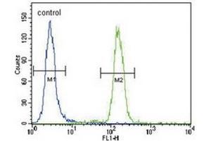 Image no. 3 for anti-BCL2 Binding Component 3 (BBC3) (BH3 Domain), (C-Term) antibody (ABIN356830)