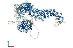 AlphaFold protein structure predicition of Mouse Recombinant Stk36 Protein, UniprotID Q69ZM6