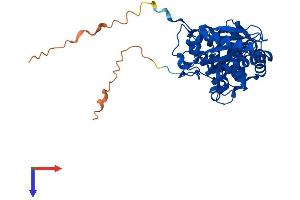 AlphaFold protein structure predicition of Mouse Recombinant Ilf2 Protein, UniprotID Q9CXY6