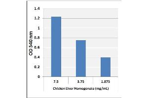 Detection of Soluble Collagen in Chicken Liver. (Soluble Collagen Assay Kit)
