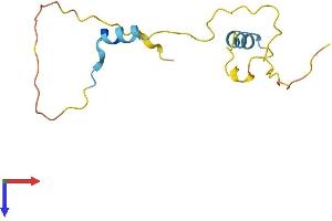AlphaFold protein structure predicition of Mouse Recombinant Hcfc1r1 Protein, UniprotID Q9CYQ5