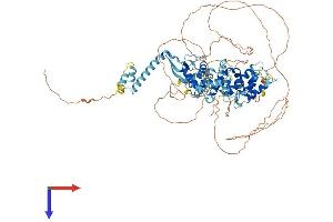 AlphaFold protein structure predicition of Mouse Recombinant Depdc1a Protein, UniprotID Q8CIG0