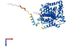 AlphaFold protein structure predicition of Mouse Recombinant Alg3 Protein, UniprotID Q8K2A8