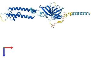 AlphaFold protein structure predicition of Mouse Recombinant Kcnj15 Protein, UniprotID O88932
