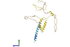 AlphaFold protein structure predicition of Mouse Recombinant Syndig1 Protein, UniprotID A2ANU3