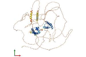 AlphaFold protein structure predicition of Human Recombinant POU2F1 Protein, UniprotID P14859