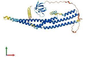 AlphaFold protein structure predicition of Mouse Recombinant Sh3glb2 Protein, UniprotID Q8R3V5