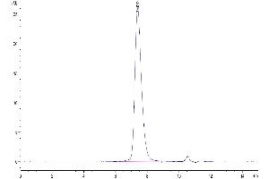 The purity of Biotinylated Human PD-1 is greater than 95 % as determined by SEC-HPLC.