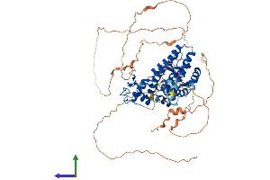 AlphaFold protein structure predicition of Human Recombinant ESR1 Protein, UniprotID P03372
