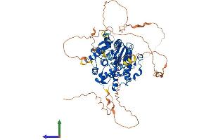 AlphaFold protein structure predicition of Human Recombinant MTMR14 Protein, UniprotID Q8NCE2