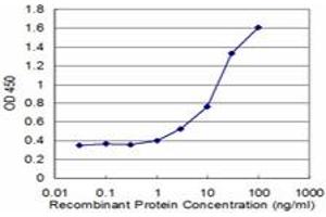 Detection limit for recombinant GST tagged RAD1 is approximately 1ng/ml as a capture antibody. (RAD1 anticorps  (AA 1-90))