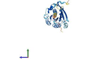AlphaFold protein structure predicition of Mouse Recombinant Rab34 Protein, UniprotID Q64008