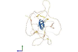 AlphaFold protein structure predicition of Mouse Recombinant Foxn1 Protein, UniprotID Q61575