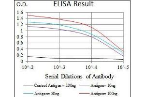 Black line: Control Antigen (100 ng), Purple line: Antigen(10 ng), Blue line: Antigen (50 ng), Red line: Antigen (100 ng),