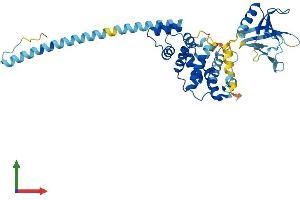 AlphaFold protein structure predicition of Mouse Recombinant Cyth1 Protein, UniprotID Q9QX11
