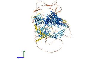 AlphaFold protein structure predicition of Mouse Recombinant Sin3a Protein, UniprotID Q60520