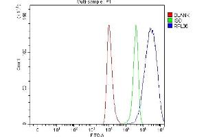 Flow Cytometry analysis of HEL cells using anti-RPL36 antibody (ABIN7602917). (RPL36 anticorps  (C-Term))