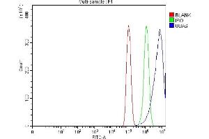 Flow Cytometry analysis of PC-3 cells using anti-UBA6 antibody (ABIN7602559). (UBA6 anticorps  (AA 85-1033))