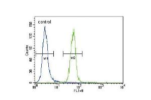 Flow cytometric analysis of Hela cells (right histogram) compared to a negative control cell (left histogram). (FYN anticorps  (N-Term))